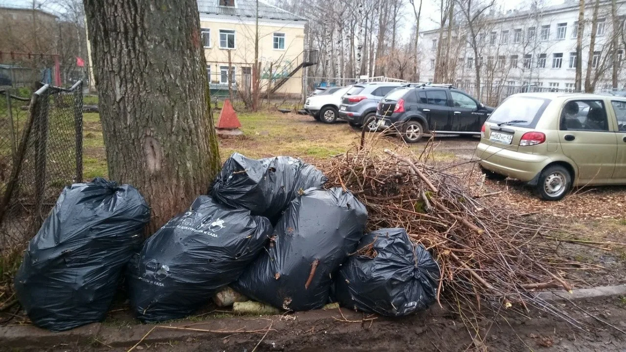 Вывоз мусора после субботника в Вологде от ПроМусор – уборка и утилизация отходов от 2414 руб